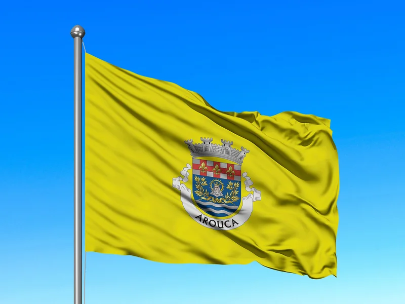 Bandeira do Município de Arouca em mastro