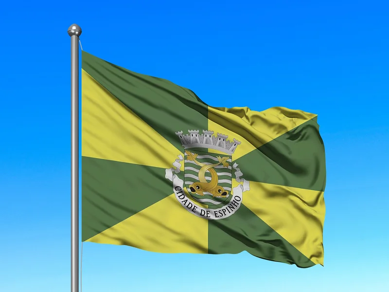 Bandeira do Município de Espinho em mastro