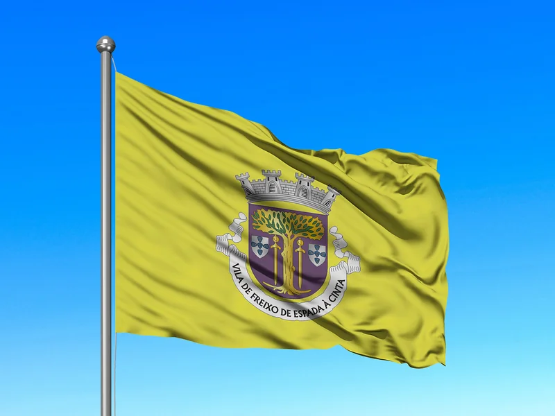 Bandeira do Município de Freixo de Espada à Cinta em mastro