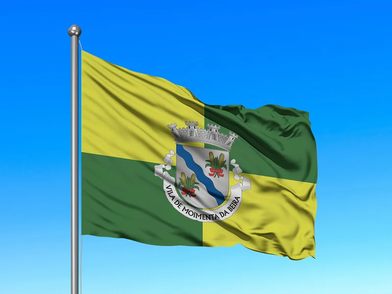 Bandeira do Município de Moimenta da Beira em mastro