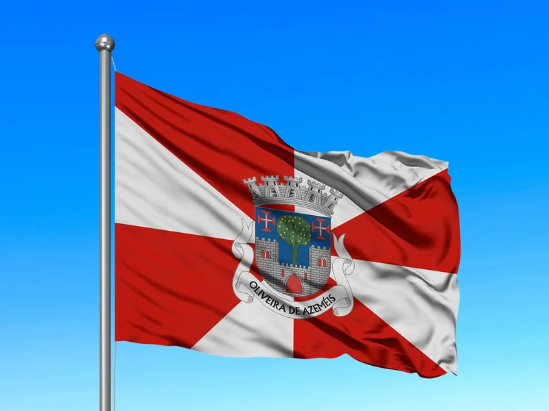 Bandeira do Município de Oliveira de Azeméis em mastro