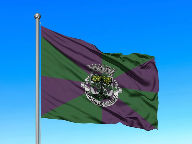 Bandeira do Município de Paredes em mastro